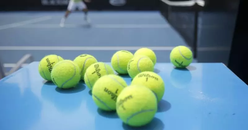 Benefits of Using Used Tennis Balls