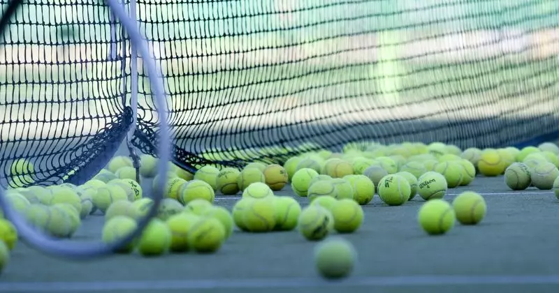 The Clever Uses for Used Tennis Balls